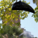 Enceinte Suspendue Helmet Architettura Sonora
