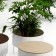 Ensemble pouf + table basse et jardninière ronde Green Pedestals Jardinchic