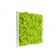 Tableau végétal Kandigreen 40 MeaMea JardinChic