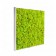 Tableau végétal Kandigreen 60 MeaMea JardinChic