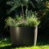 Pot Kyoto Jardin Eternit JardinChic