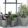 Collection Pots New Pot Serralunga JardinChic