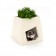 Niche Jardinière Kokon pour Chiens et Chats Face Pousse Creative JardinChic