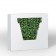 Pot Non Vaso Blanc MyYour JardinChic