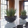 Jardinière d'intérieur Ocean Bowl Plants First Choice JardinChic
