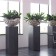 Jardinière d'intérieur Ocean Bowl Colonnes Plants First Choice JardinChic