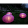 Lampes Oursin Violet Paradedesign Jardinchic