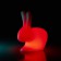 Petite Lampe à batterie Rabbit Small - LED Variation Rouge Qeeboo Jardinchic