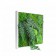 Tableau végétal Picagreen 40 MeaMea JardinChic