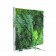 Tableau végétal Picagreen 60 MeaMea JardinChic