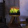 Lampe Medium Ambiance Indoor Brokis JardinChic