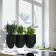 Jardinière Plant Bag Sx3 Urban Garden Face Ambiance Authentics JardinChic