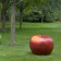 Céramique Pomme Cores da Terra Collection JardinChic