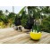 Pot Axel Jaune Maldives Domani JardinChic