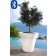 Pot Lumineux Gota Bluetooth® Smart and Green Jardinchic 