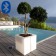 Pot Lumineux Passo Bluetooth® Smart and Green Jardinchic