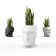 Pots Adan Vondom JardinChic