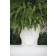 Pot Adan Blanc Détail Vondom JardinChic