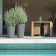 Pot Alto Gris clair Piscine Eternit JardinChic