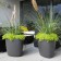 Pot Tokyo  Anthracite Eternit JardinChic