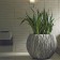 Jardinière d'Intérieur Snake Ambiance Plants First Choice JardinChic 