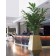 Jardinière d'Intérieur Square H110cm  Ambiance Plants First Choice JardinChic