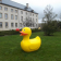 Statue Canard Géant H165cm TexArtes Jardinchic