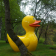 Statue Canard Géant H220cm TexArtes Jardinchic