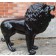 Statue Lion Noir Laqué TexArtes Jardinchic
