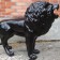 Statue Lion Noir Laqué TexArtes Jardinchic