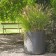 Pot Sushi Eternit JardinChic