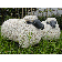 Statue Mouton Tex Artes photo 4 JardinChic