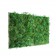 Tableau Végétal VanGreen Maxi Mea Mea JardinChic