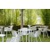 Lot de 2 Chaises Tatami avec accoudoirs Terrasse Pedrali JardinChic