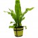 Tricot de Pot XL vert Jardin Chic Vegetal fabric